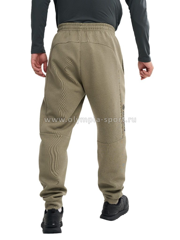 Брюки мужские Strobbs E2422-24 серо-зеленый