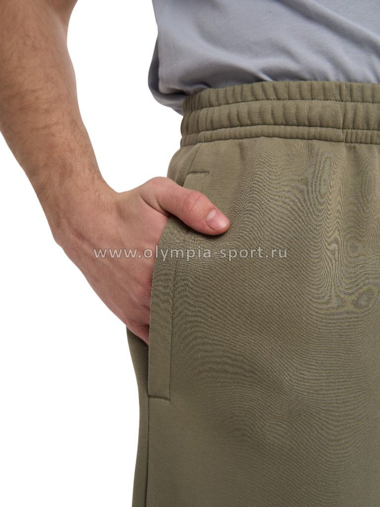 Брюки мужские Strobbs E2422-24 серо-зеленый